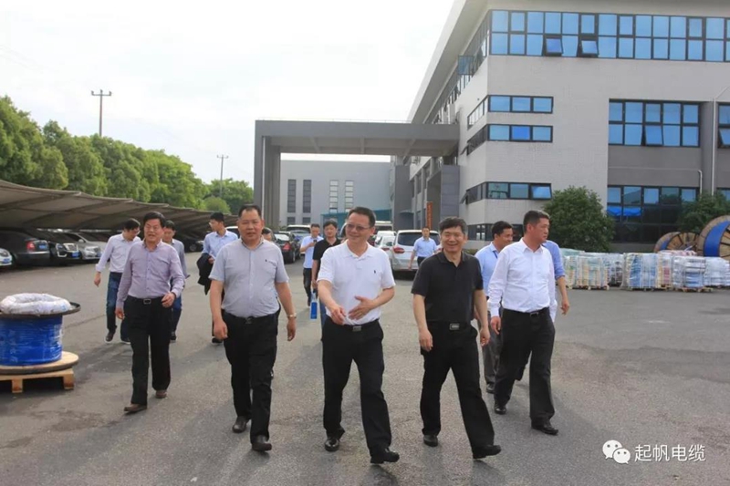 池州市长雍成瀚等参观调研起帆电缆总部3