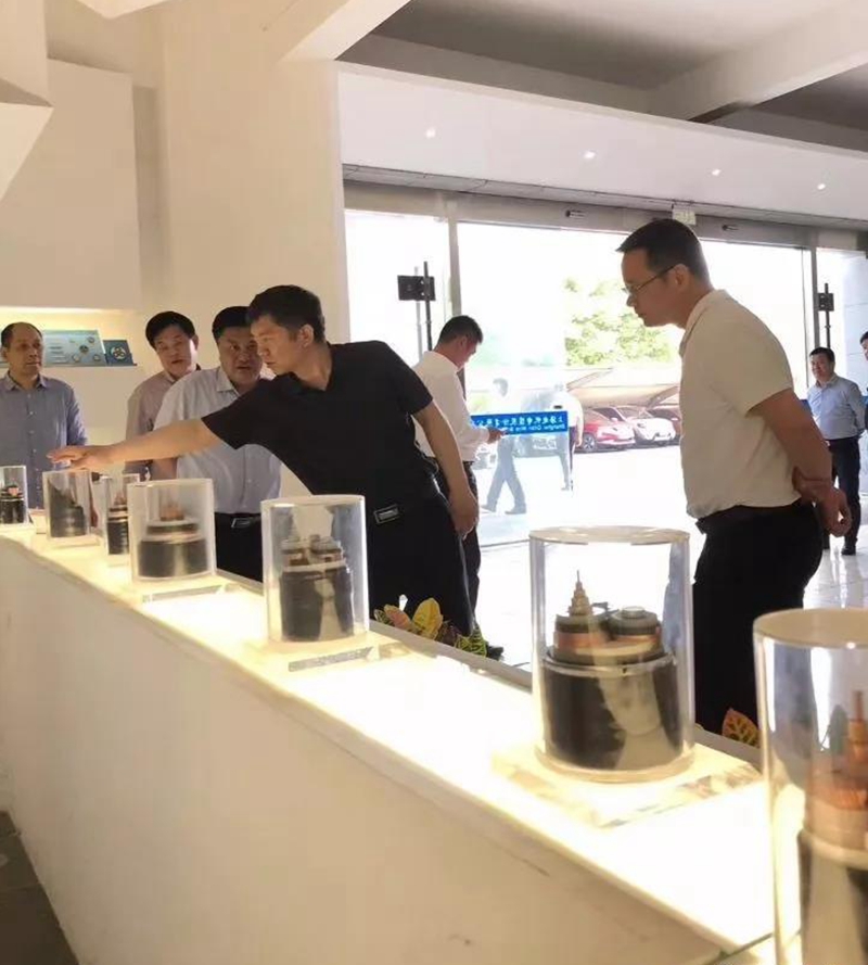池州市长雍成瀚等参观调研起帆电缆总部4