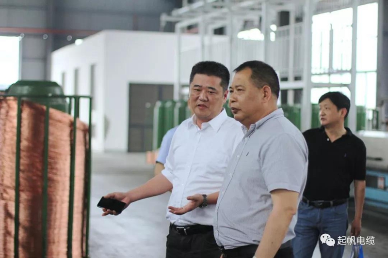 池州市长雍成瀚等参观调研起帆电缆总部6