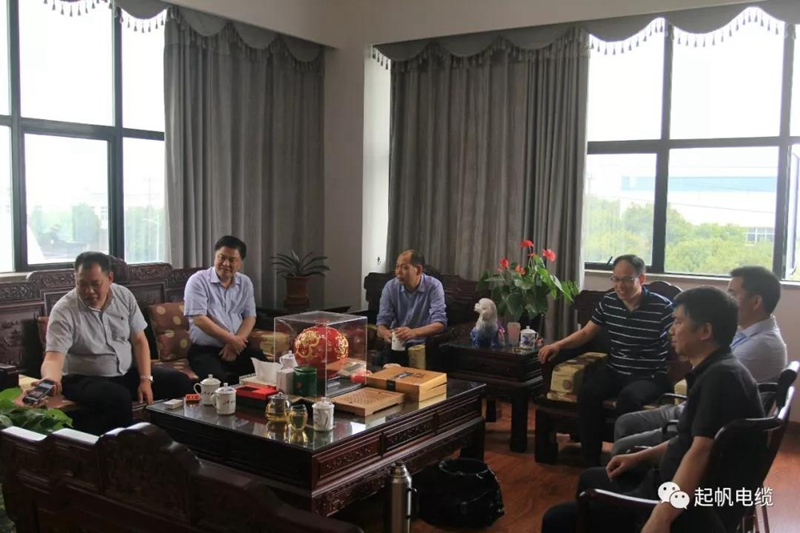 池州市长雍成瀚等参观调研起帆电缆总部7